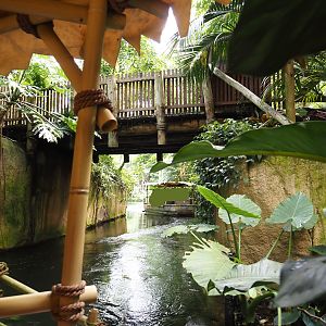 Jungola - Rimbula greenhouse - Rimbula River boat ride canal, 2024-06-23