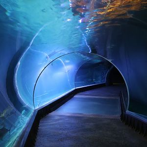 Afrykarium - Mozambique Channel exhibit