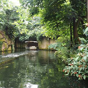 Jungola - Rimbula greenhouse - Rimbula River boat ride canal and part of Lar gibbon island, 2024-06-23