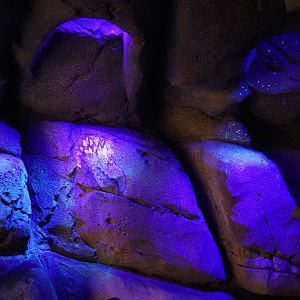 Jungola - Rimbula greenhouse - Rimbula River boat ride - Cave with projections and fake glowworm snare threads, 2024-06-23