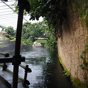 Jungola - Rimbula greenhouse - Rimbula River boat ride canal near the elephant exhibit, 2024-06-23