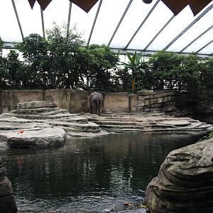 Jungola - Rimbula greenhouse - Asian elephant indoor exhibit seen from the Rimbula River boat ride, 2024-06-23