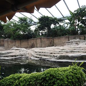 Jungola - Rimbula greenhouse - Asian elephant indoor exhibit seen from the Rimbula River boat ride, 2024-06-23