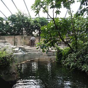 Jungola - Rimbula greenhouse - Asian elephant indoor exhibit seen from the Rimbula River boat ride, 2024-06-23