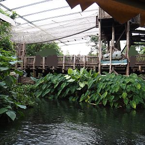 Jungola - Rimbula greenhouse - Walkway and Jungle Trail structures seen from Rimbula River boat ride, 2024-06-23