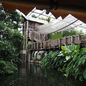 Jungola - Rimbula greenhouse - Walkway and Jungle Trail structures seen from Rimbula River boat ride, 2024-06-23
