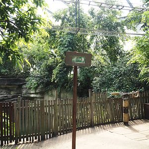 Jungola - Rimbula greenhouse - Viewing area for Asian elephant indoor exhibit and Lar gibbon bridge, 2024-06-23