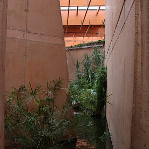 Afrykarium - Okavango swamp exhibit