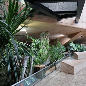 Afrykarium - Okavango swamp exhibit