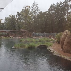 Afrykarium - 2460 m³ pool African penguin exhibit