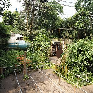 Jungola - Rimbula greenhouse - Rimbula River boat ride dock and queue, 2024-06-23