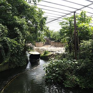 Jungola - Rimbula greenhouse - Rimbula River boat canal next to Lar gibbon island and Asian elephant indoor exhibit, 2024-06-23