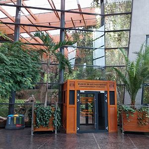 Afrykarium - Congo Rainforest exhibit - Entrance