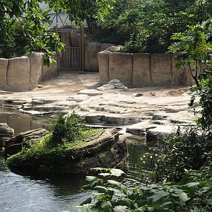 Jungola - Rimbula greenhouse - Asian elephant indoor exhibit, 2024-06-23