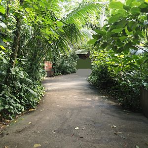 Jungola - Rimbula greenhouse - Walkway, 2024-06-23