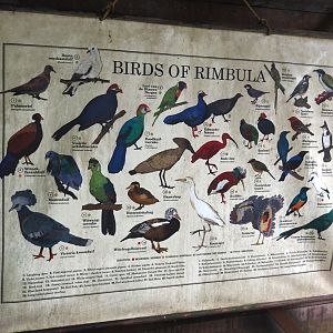 Jungola - Rimbula greenhouse - Free-ranging bird species signage, 2024-06-23