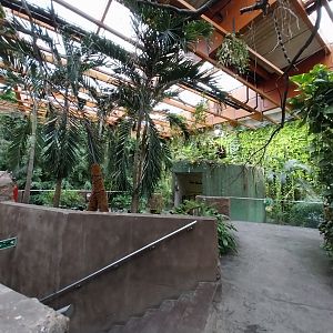 Afrykarium - Congo rainforest exhibit