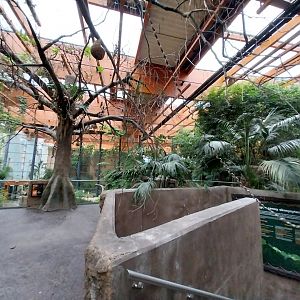 Afrykarium - Congo rainforest exhibit