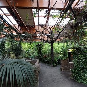 Afrykarium - Congo rainforest exhibit