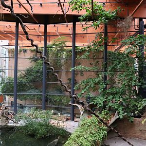 Afrykarium - Congo rainforest exhibit