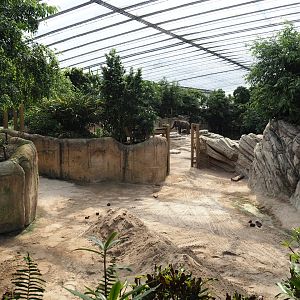 Jungola - Rimbula greenhouse - Asian elephant indoor separation paddock, 2024-06-23