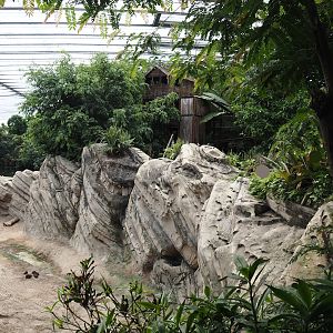 Jungola - Rimbula greenhouse - Rock wall around Asian elephant indoor exhibit, vegetation and Jungle Trail structures, 2024-06-23