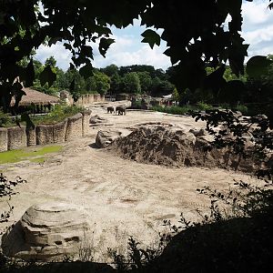 Jungola - Asian elephant exhibit, 2024-06-23