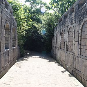 Jungola - Bridge over Asian elephant corridor, 2024-06-23