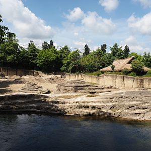 Jungola - Asian elephant exhibit, 2024-06-23
