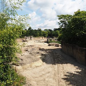 Jungola - Asian elephant exhibit, 2024-06-23