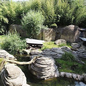 Jungola - Asian small-clawed otter exhibit, 2024-06-23