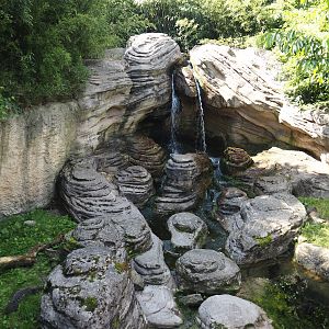 Jungola - Asian small-clawed otter exhibit, 2024-06-23