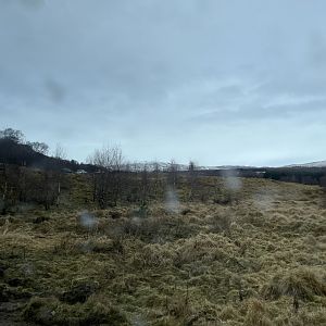 Vicuña drive-through reserve 5.4.24