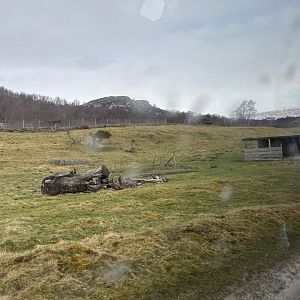 Bukhara deer drive-through reserve 5.4.24