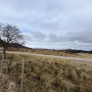 Vicuña drive-through reserve 5.4.24