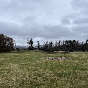 Bactrian camel and yak enclosure 5.4.24