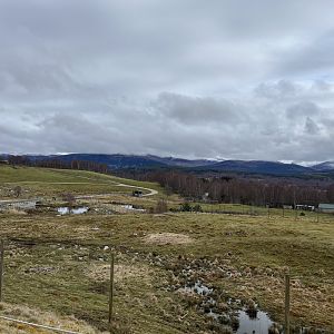 View of the hills and White-lipped deer enclosure 5.4.24