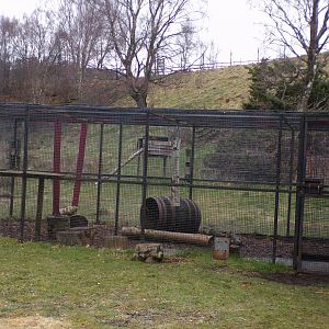 Wolverine holding area 5.4.24