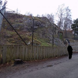 Snow leopard enclosure 5.4.24