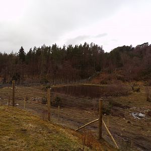 Female polar bear (and Brodie’s) enclosure 5.4.24
