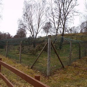 Wolverine separation enclosure 5.4.24