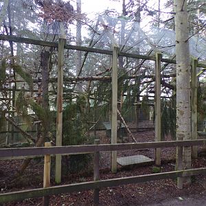 Scottish wildcat enclosure 5.4.24