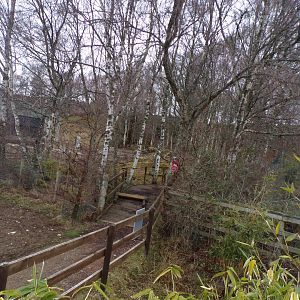 Former red panda enclosure 5.4.24