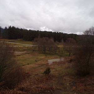 Male polar bear enclosure 5.4.24