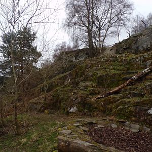 Snow leopard enclosure 5.4.24
