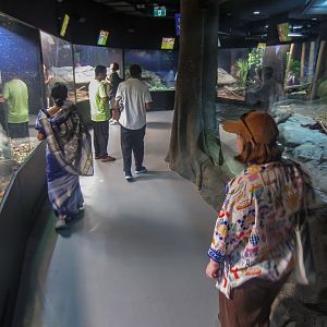 Amphibian & Reptile Centre