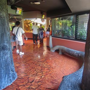 Amphibian & Reptile Centre