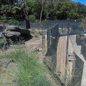 Lace Monitor exhibit