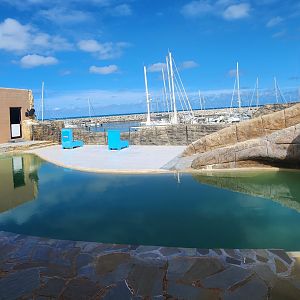 Ocean World Puerto Plata - Sea lion stage exhibit