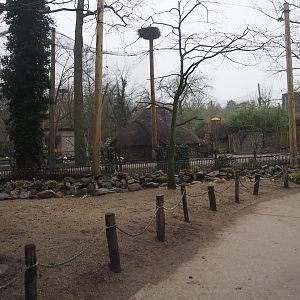 Renovated European aviary with new poles and now more open after removal of vegetation, 2024-12-29